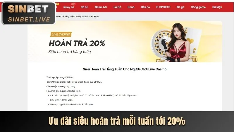 Cam kết an toàn và công bằng